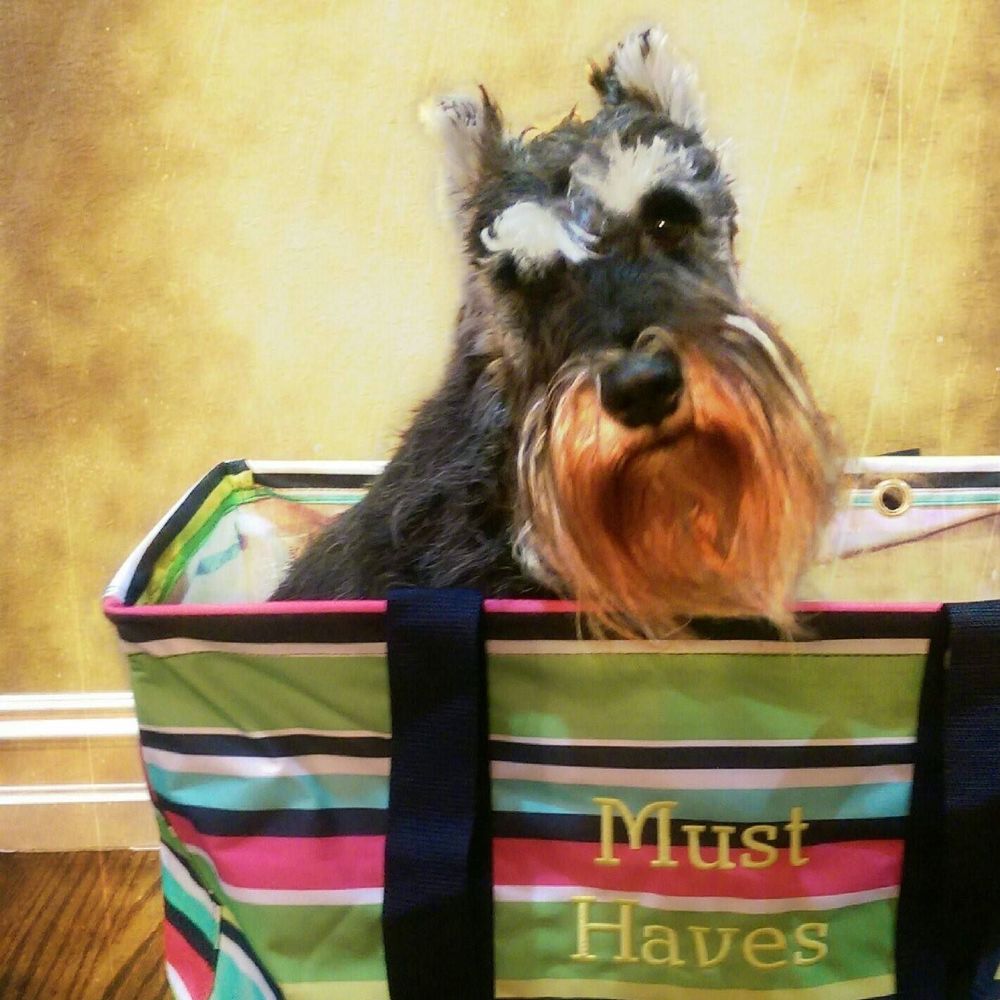 Meet your Posher, Jennifer